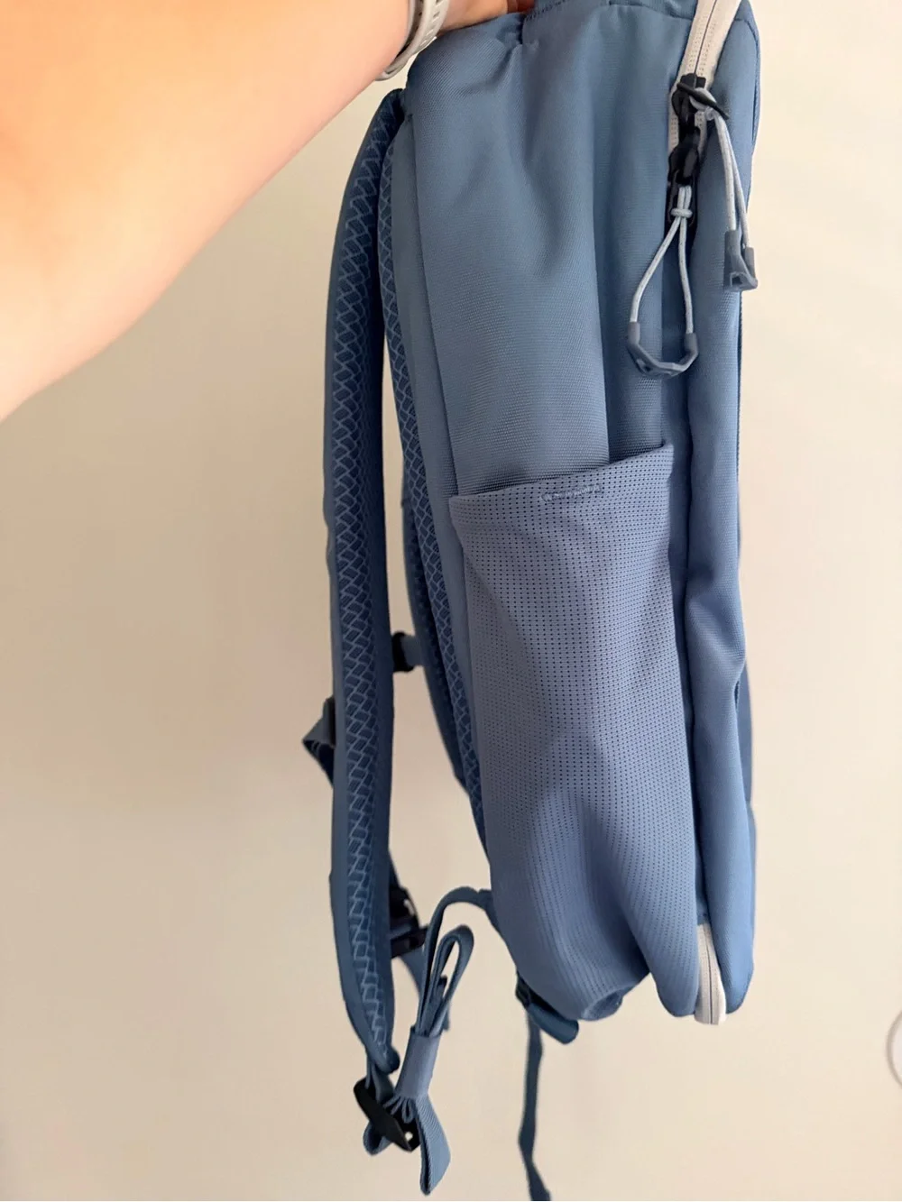 Eagle Creek Blue Everyday Backpack